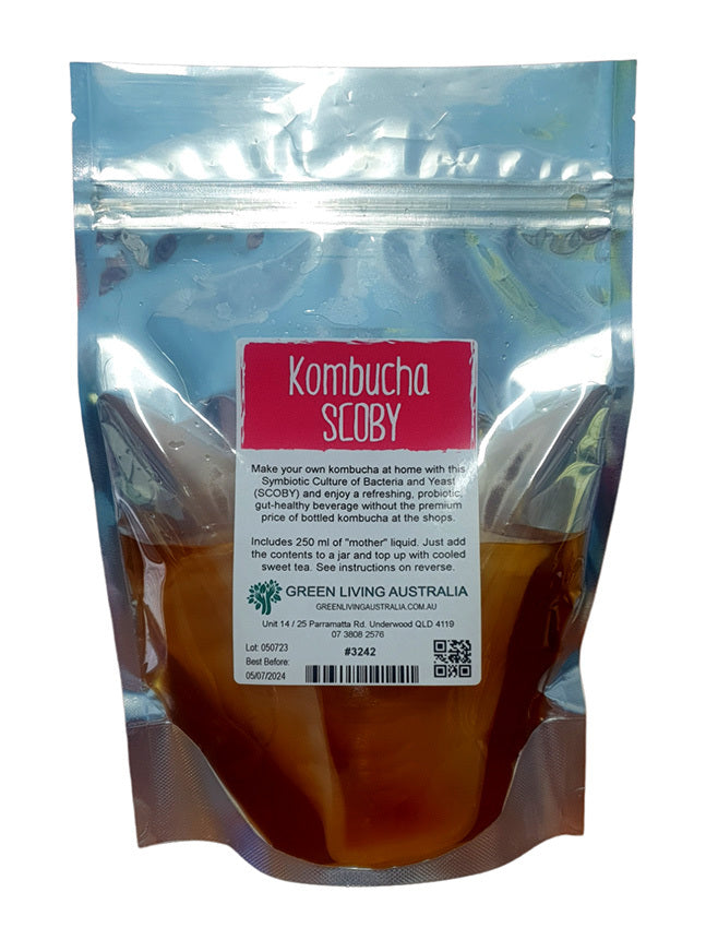 Kombucha Scoby